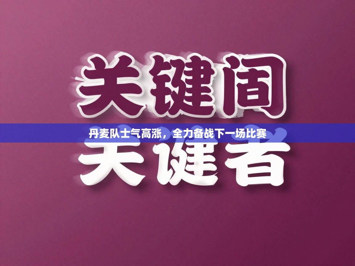丹麦队士气高涨,全力备战下一场比赛 第2张